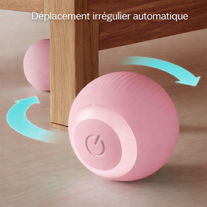 Jouet interactif automatique pour animaux