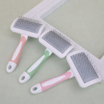 Brosse de toilettage pour animaux