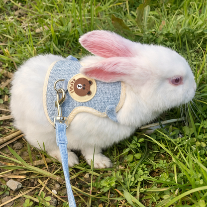 Harnais et laisse pour lapin