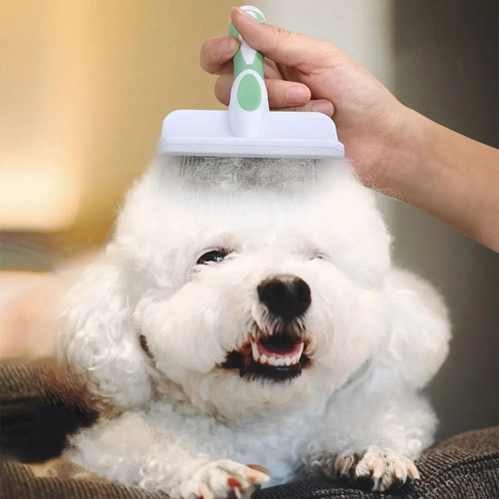 Brosse de toilettage pour animaux