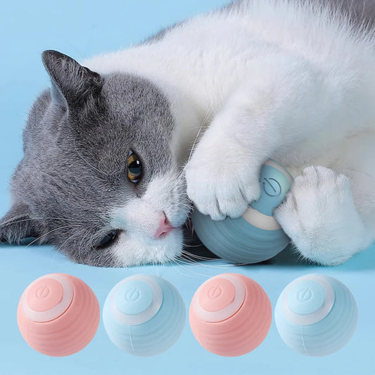 Jouet interactif automatique pour animaux