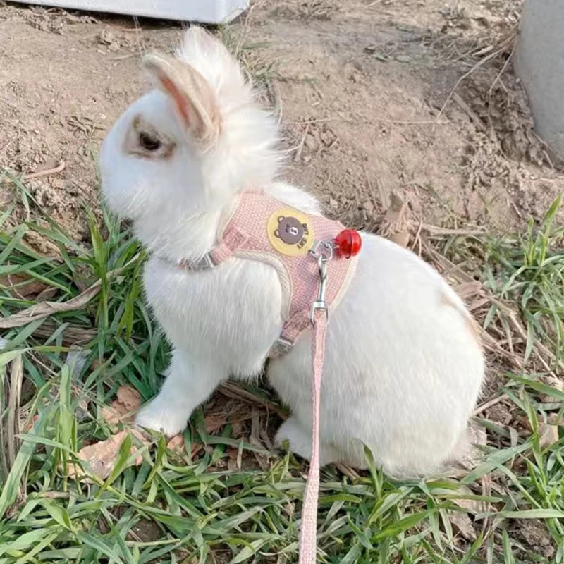 Harnais et laisse pour lapin