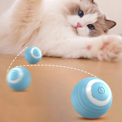Jouet interactif automatique pour animaux