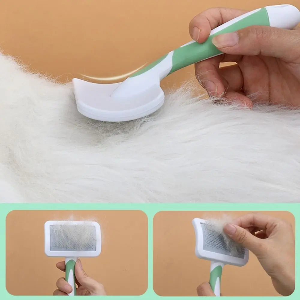 Brosse de toilettage pour animaux