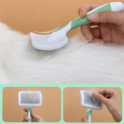 Brosse de toilettage pour animaux